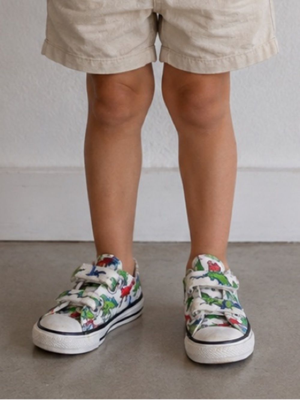 Converse Chuck Taylor All Star Dinosaur Sneakers Toddler Boys Size 6